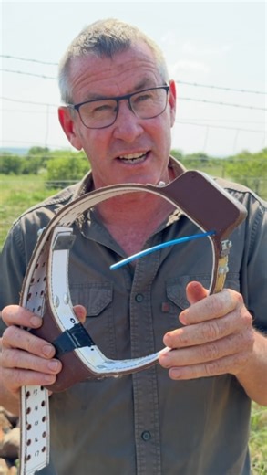 I love to see science and technology becoming a normal piece of conservation conversation! 🙌🏻🌍 • • • #conservation #technology #fyp #reels #conversation #ivancarter #viral #africa #instagood #instadaily #wildlife | Ivan Carter
