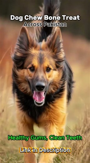 Dog Bone Treat | Natural Chew Bone for Dogs in Pakistan