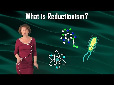 What is Reductionism?
