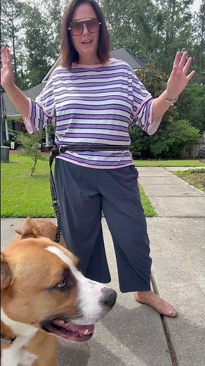 Hands-Free Dog Leash Review 🐶 | Bungee Waist Leash That Makes Walks So Much Easier