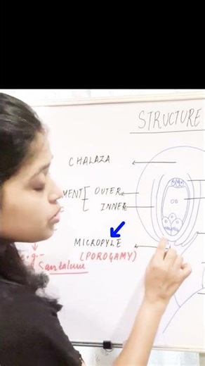 Ovule Structure in 60 Seconds 🌸 | NEET Biology Must Watch!