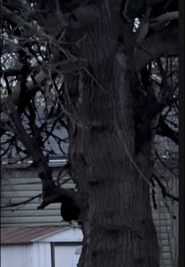 Discovering Nature Spirits: A Connection to the Divine