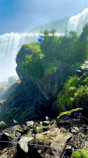 Las cataratas del Niagara uno de los lugares mágicos donde fui y volví 🤩#fyp #nature #niagarafalls #newyork
