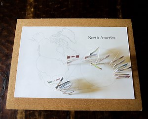 North America Continent Countries and Capitals PRINTABLE |north America FLAGS| North America Continent Map| Illustrated Map Flags|download - Etsy Canada