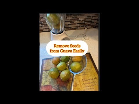 Seed- Free Guava Juice: Easy Removal Tips