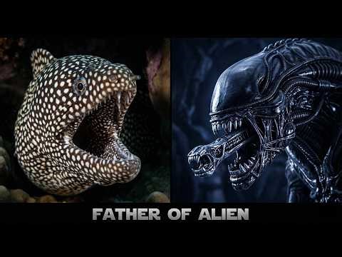 Moray Eel - Alien Jaws 👽 Reef Predator Explained.