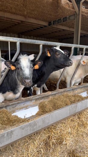 Du bon beurre, tout simplement 🧈 Local, fait comme avant, et choisi avec soin. À La Table L, les détails font toute la différence 🤍 | La Table L