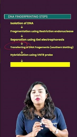 PLUS TWO | BIOLOGY | FREQUENTLY ASKED IMPORTANAT 3 MARK QUESTIONS | DNA FINGER PRINTING STEPS