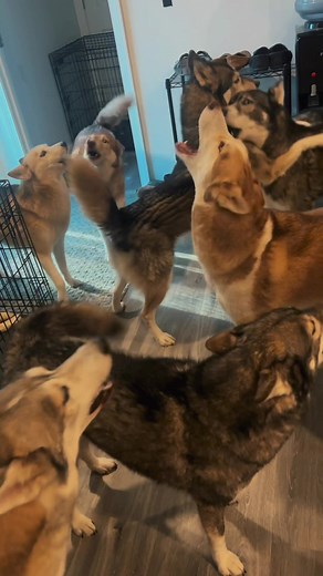 thchphm587 on TikTok