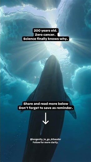 200 Years Old. Zero Cancer. What boxhead whales teach us.