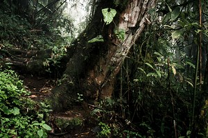 Understanding HOA Reserve Requirements for Homeowners