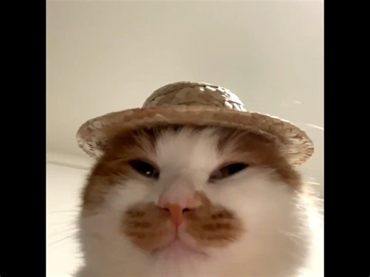 【bcqsll】更新啦，赶紧来围观吧！