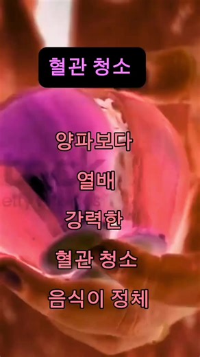 #이슈 #건강꿀팁 #건강관리 #건강정보 #건강