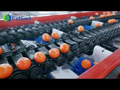 FstSort Citrus Sorting Machine; Box dumper; Orange Sorting Mchine;