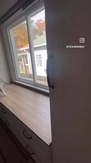 54 reactions | Tis the season to get organized! Check out Sean's NEW & IMPROVED built-in closets, all thanks to Closets By Design Indianapolis! Ready for your own upgrade or refresh? Laundry rooms ➡ Kitchens ➡ Pantries ➡ Hobby rooms ➡ Wall beds ➡ Home offices ➡ and more! They are ready to guide you through your customization journey! Don't settle for less, count on the best. ▶️ indianapolis.closetsbydesign.com | B105.7 | Facebook