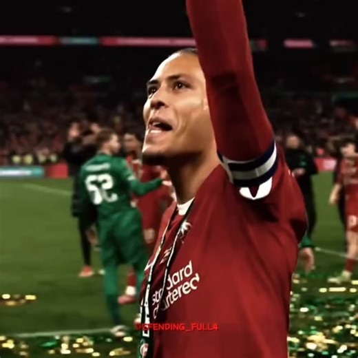 GOAT#theartofdefending #theartofbrexit #footballtiktok #brexit #defender #vandijk #liverpool