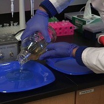 Video: An in vivo Crosslinking Approach to Isolate Protein Complexes From Drosophila Embryos