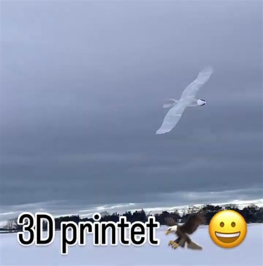 I Built A 3D Printed Drone