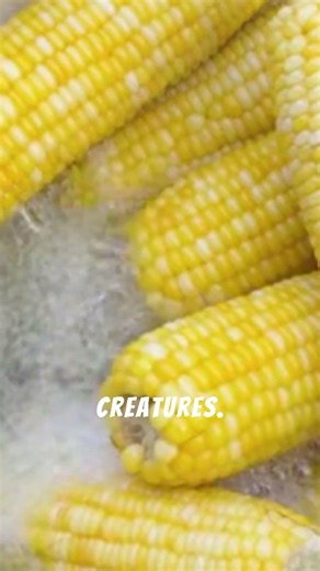 Boiling Lake That Hosts Life – The Hottest Lake on Earth 🌋 | Mind Vanta