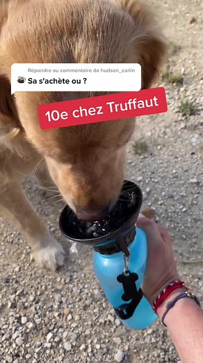 Répondre à @hudson_carlin @Glambert Adam @sof - la meilleure gourde pour chien!! #zoomalia #truffaut