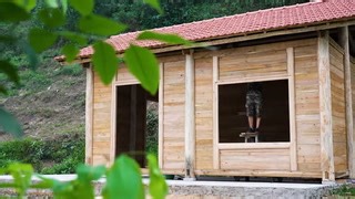 Construyó una casa en medio de la selva con sus propias manos y vive alejada de la civilización