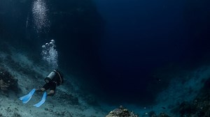 What's at the bottom of the ocean?