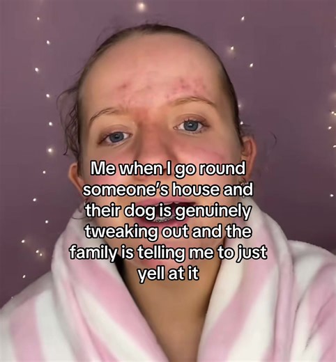 How to Handle a Dog in Distress