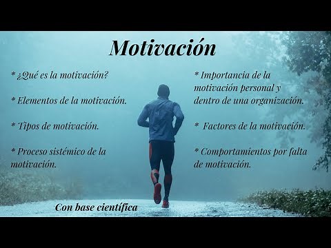 Motivation (Concept, types, elements of the motivation process, factors and importance)