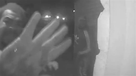 Brotherly feud gets one brother shot by a neighbor and another on the run from police, mother says