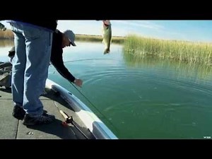 Lake Havasu Largemouths Arizona Part 1