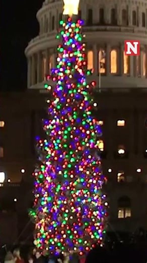 Speaker Mike Johnson Lights 53-Foot Capitol Christmas Tree