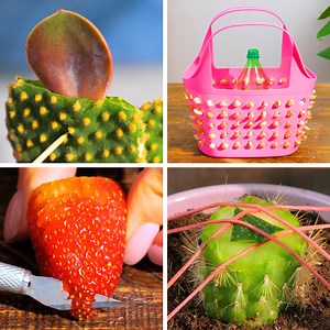 ASTUCES FACILES POUR LE JARDIN QUE TU DEVRAIS CONNAÎTRE ! FAIS POUSSER TES PLANTES AVEC CES CONSEILS: | Brico Enfants