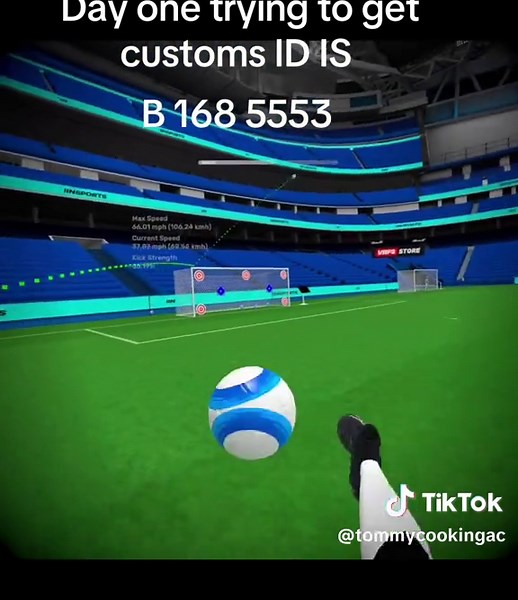 Exploring VRFS Customs and Arena Codes