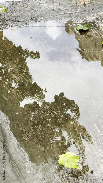 Raindrops falling in a water puddle. Nature sounds 4K video.