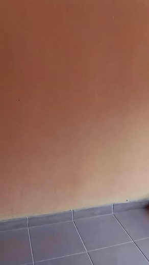 Exploring Sign Language Through Dance Movements