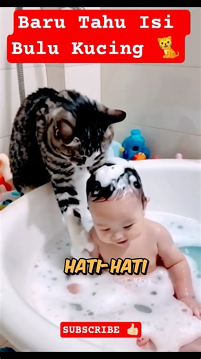 Zoom Bulu Kucing #trending #trendingshorts #microscope #viral #viralvideo #fyp #subscribe