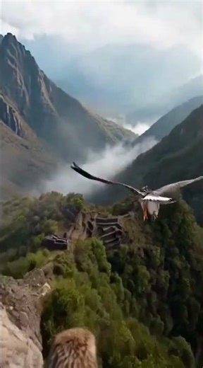 Eagle POV: Flying Over Machu Picchu, Discovered a Secret Lost City #EaglePOV #machupicchu #ia #pov