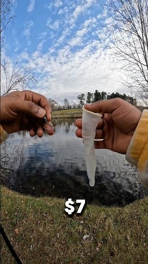 Can the Rubber Lure Catch a Big Fish?
