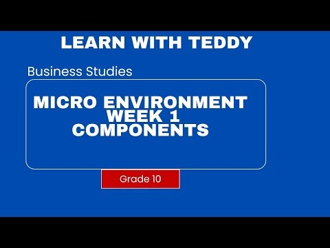 Business Studies Grade 10 |Components of the micro environment|Week 1