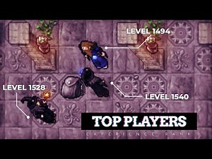 Top 5 Players por LEVEL 2020