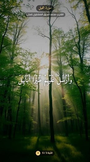 القران الكريم للقارئ (محمد صديق المنشاوي مرتل) سورة (الفيل) #القرآن_الكريم #القرآن