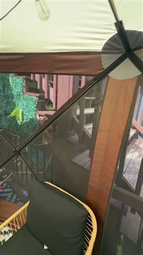 VEVOR 12x12 Camping Gazebo Screen Tent Pop Up Canopy #vevor #vevortools #CampingGazebo #ScreenTent