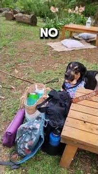 Reseña Montañas de Cariblanco