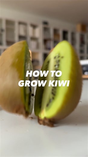 541K views · 13K reactions | Kiwi Magic! 諾 . . . . #lifehacks #howto #diy #kiwi | creative explained | Facebook