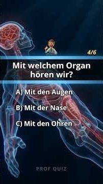 Quiz Die fünf Sinne : wie viele weißt du? 🫀