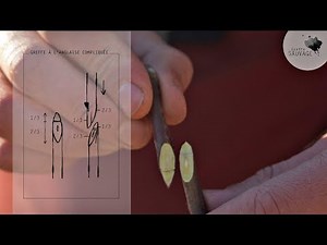 Greffe SAUVAGE #10 La greffe à l'anglaise