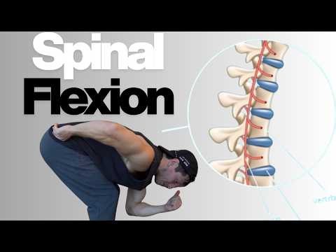 Complete Guide to Spinal Flexion Training