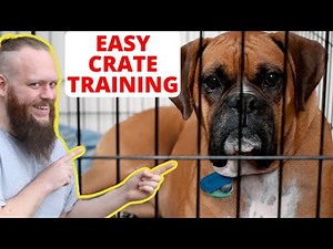 How To Crate Train Your Puppy - Don't Make These Mistakes