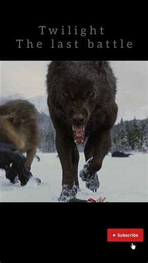 twilight fight #moviemagic #film #shorts