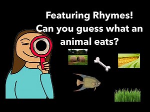 What Does The Animal Eat?